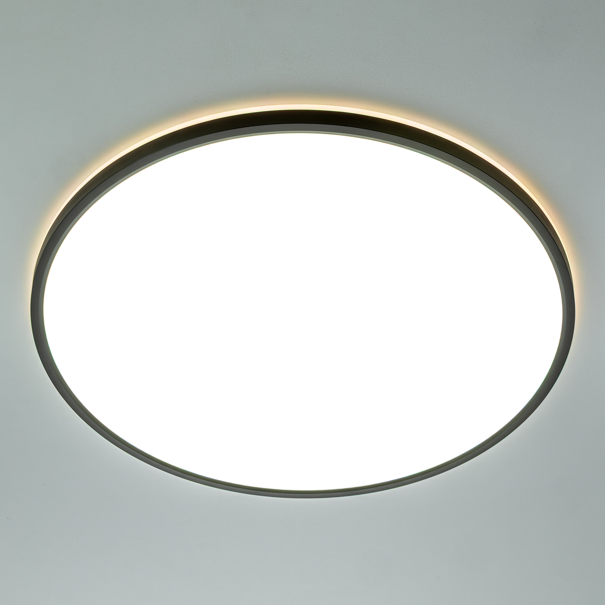 Citilux NORMA CL749501 LED RGB Светильник с пультом Чёрный арт. 89537