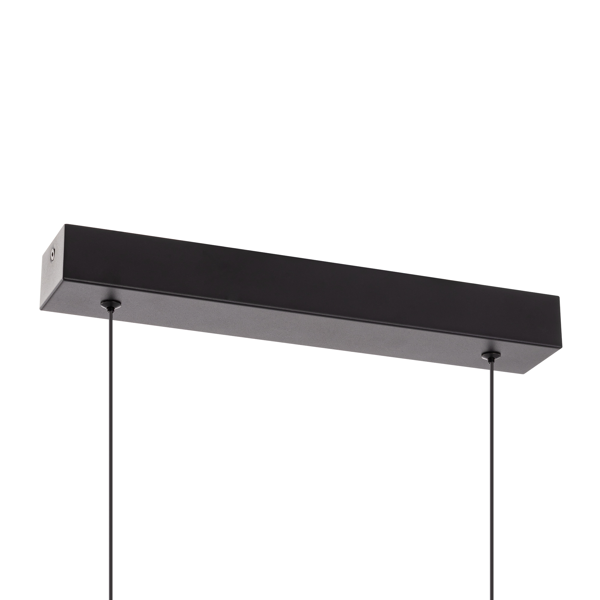 Citilux GLOB CL209131 LED Светильник подвесной Чёрный арт. 89378
