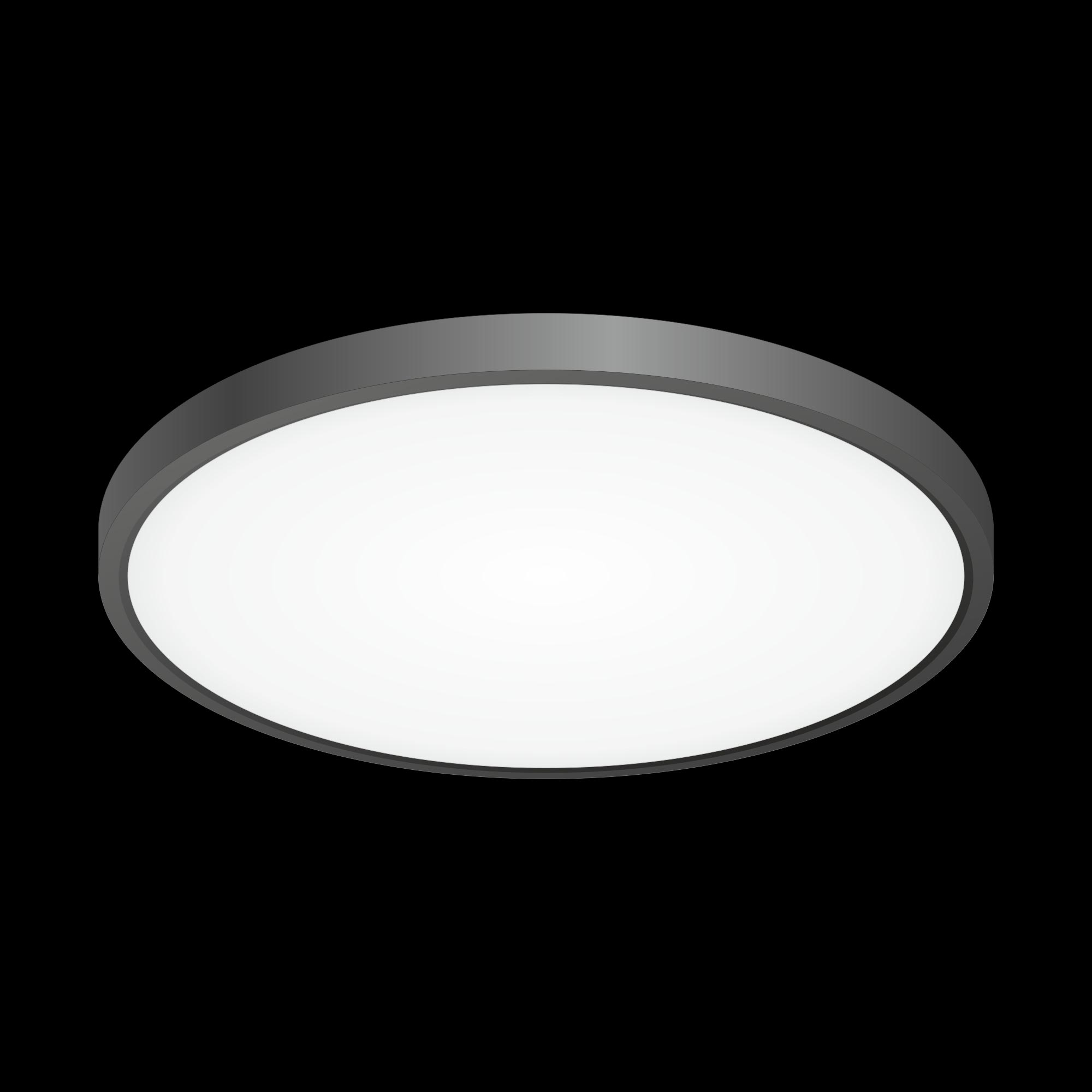 Citilux Бейсик CL738321V Светильник накладной Чёрный арт. 88459