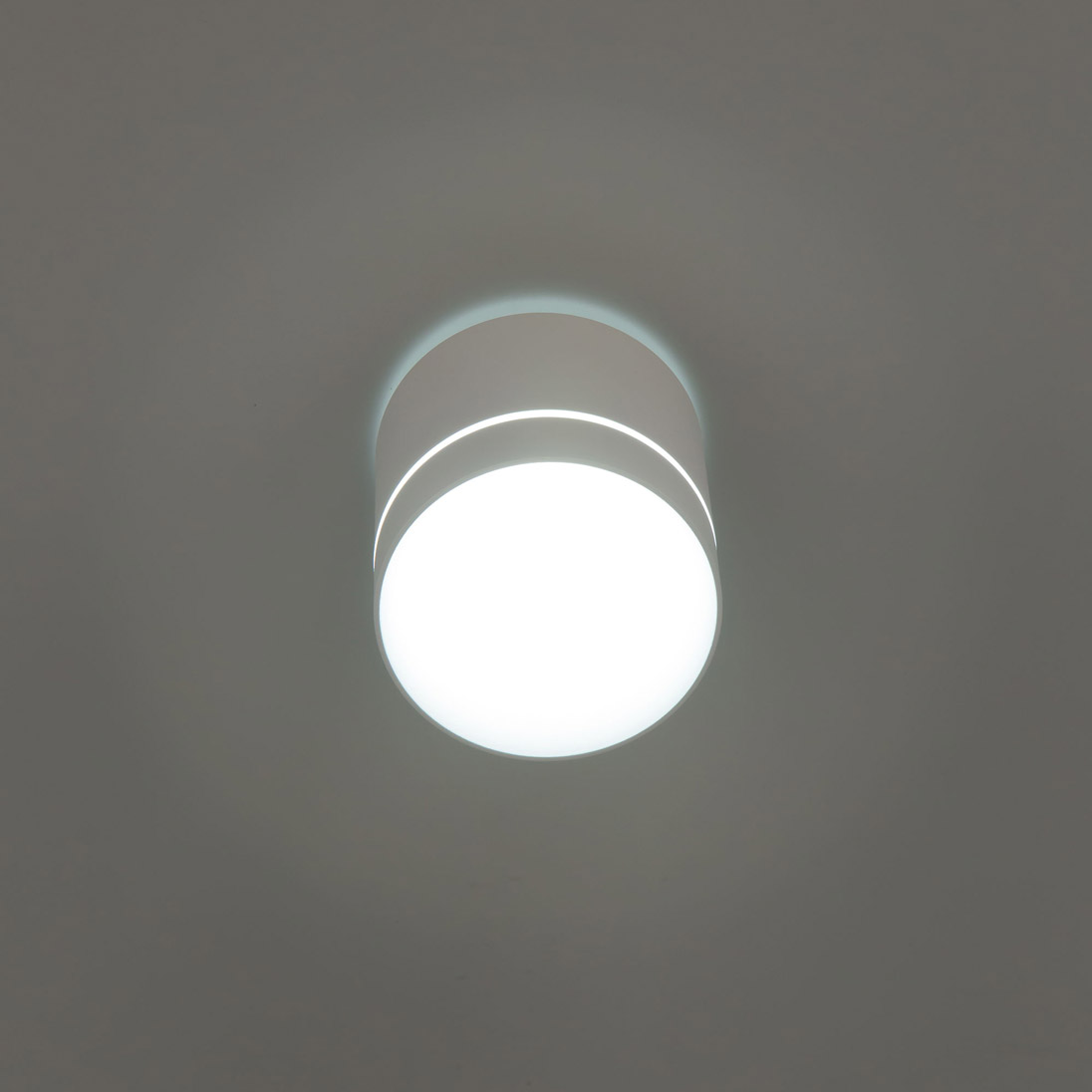 Citilux Борн CL745020N LED Светильник накладной Белый арт. 88671