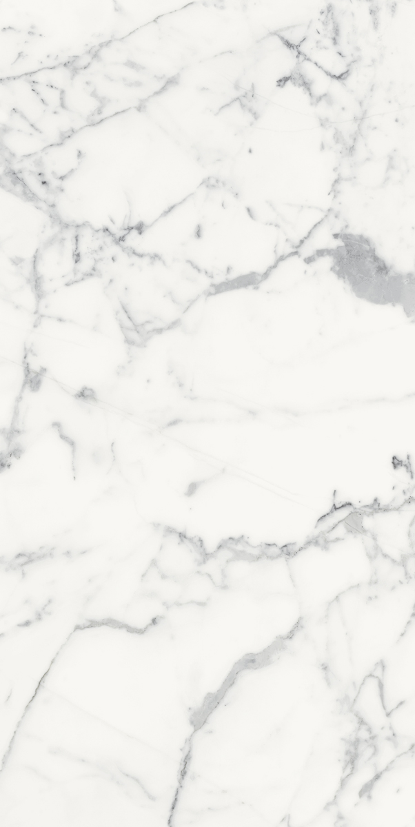 Керамогранит LES ORIGINES DE REX BLANC GLOSSY 60X120 арт. 85055