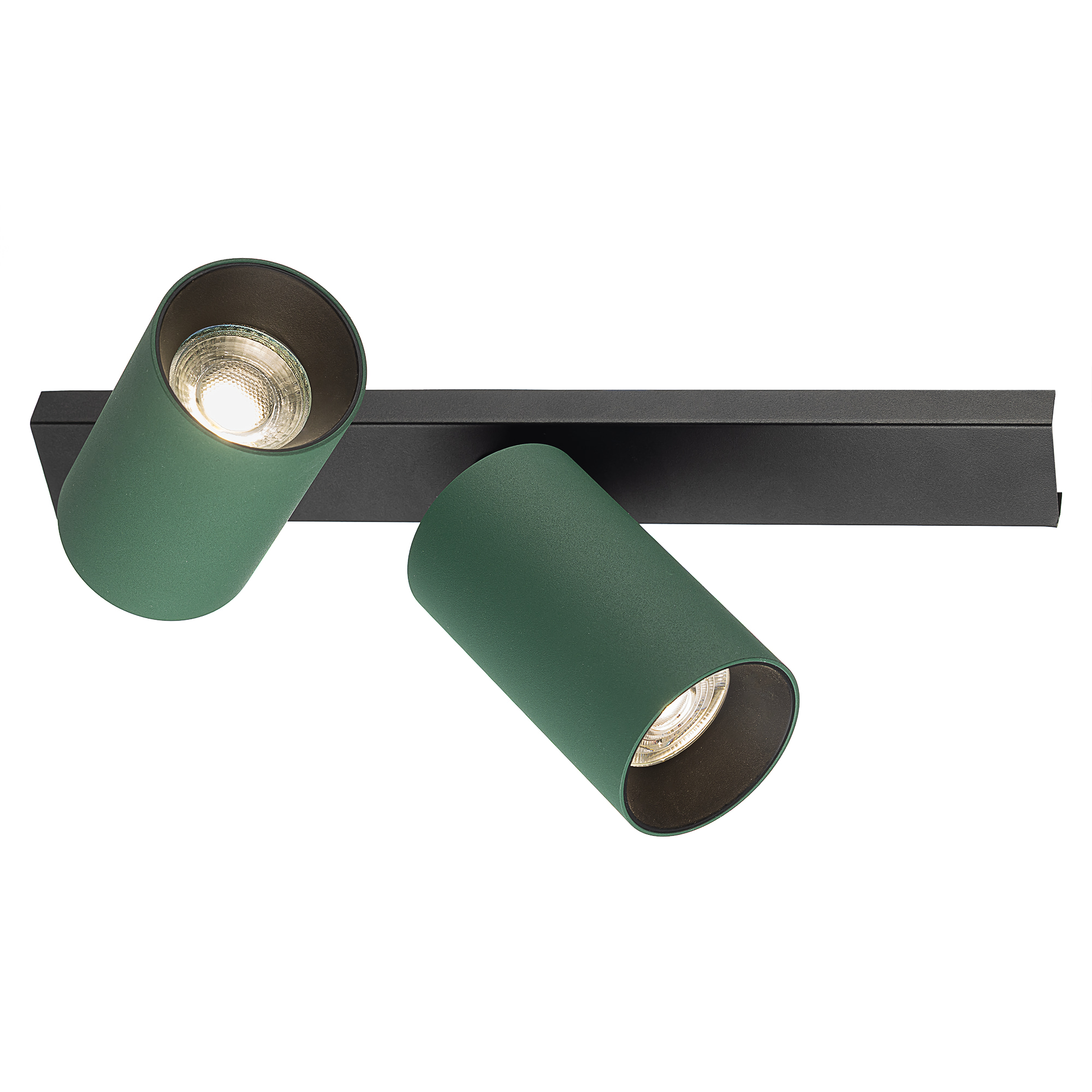Citilux AXEL CL512525 Спот поворотный двойной Зелёный арт. 129439