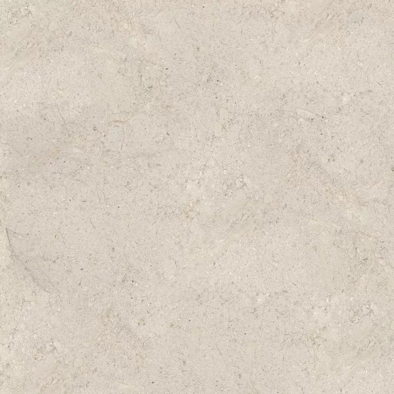 DORCIA BONE L 120X120(A) арт. 124096