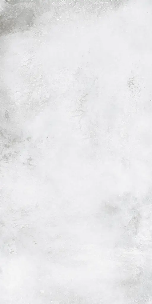 ALCHEMY FROZEN 60X120 RT арт. 74112