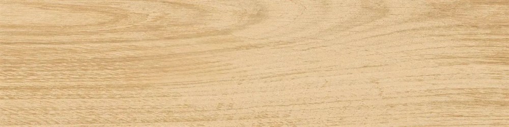 KM1040G0011N Аргания бежевый матовый 9,9x40,2x0,8