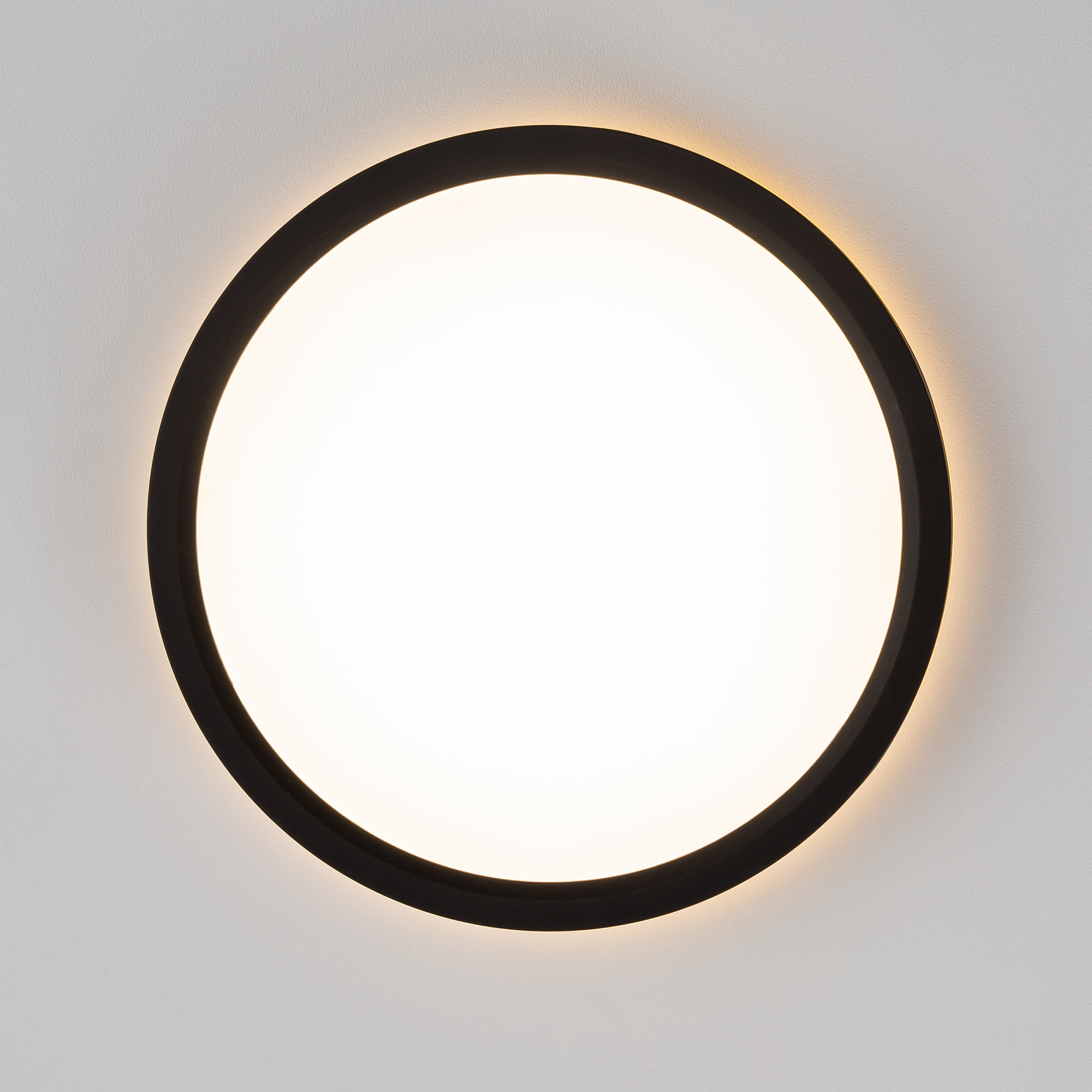 Citilux NORMA CL748181 LED Светильник с подсветкой Чёрный арт. 89365