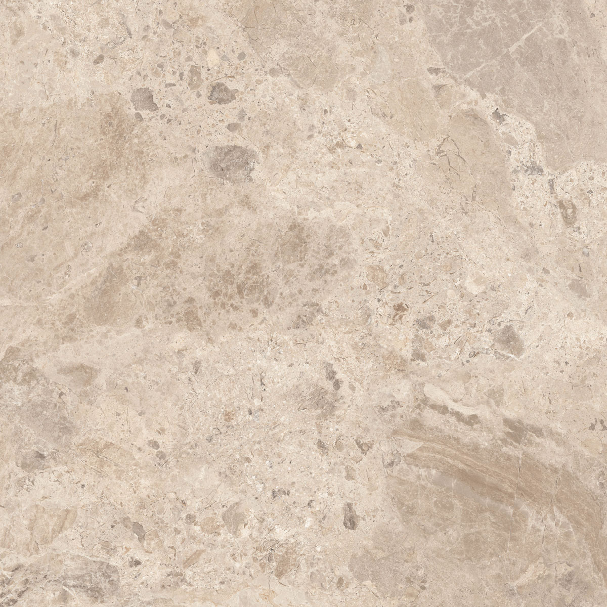 Керамический гранит  ERA BLOOM. TAUPE LAP R120X120 арт. 126261