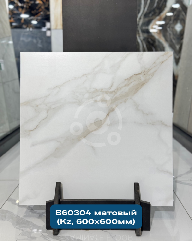 60x60 AC-M6001 Керамогранит матовый арт. 129425