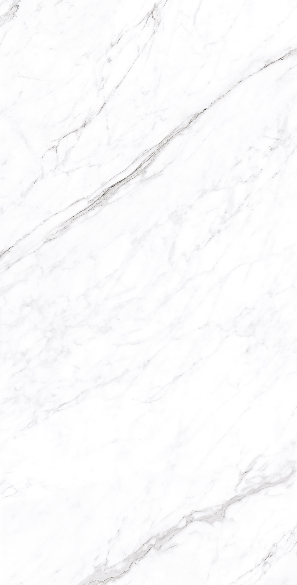 CORALINA WHITE