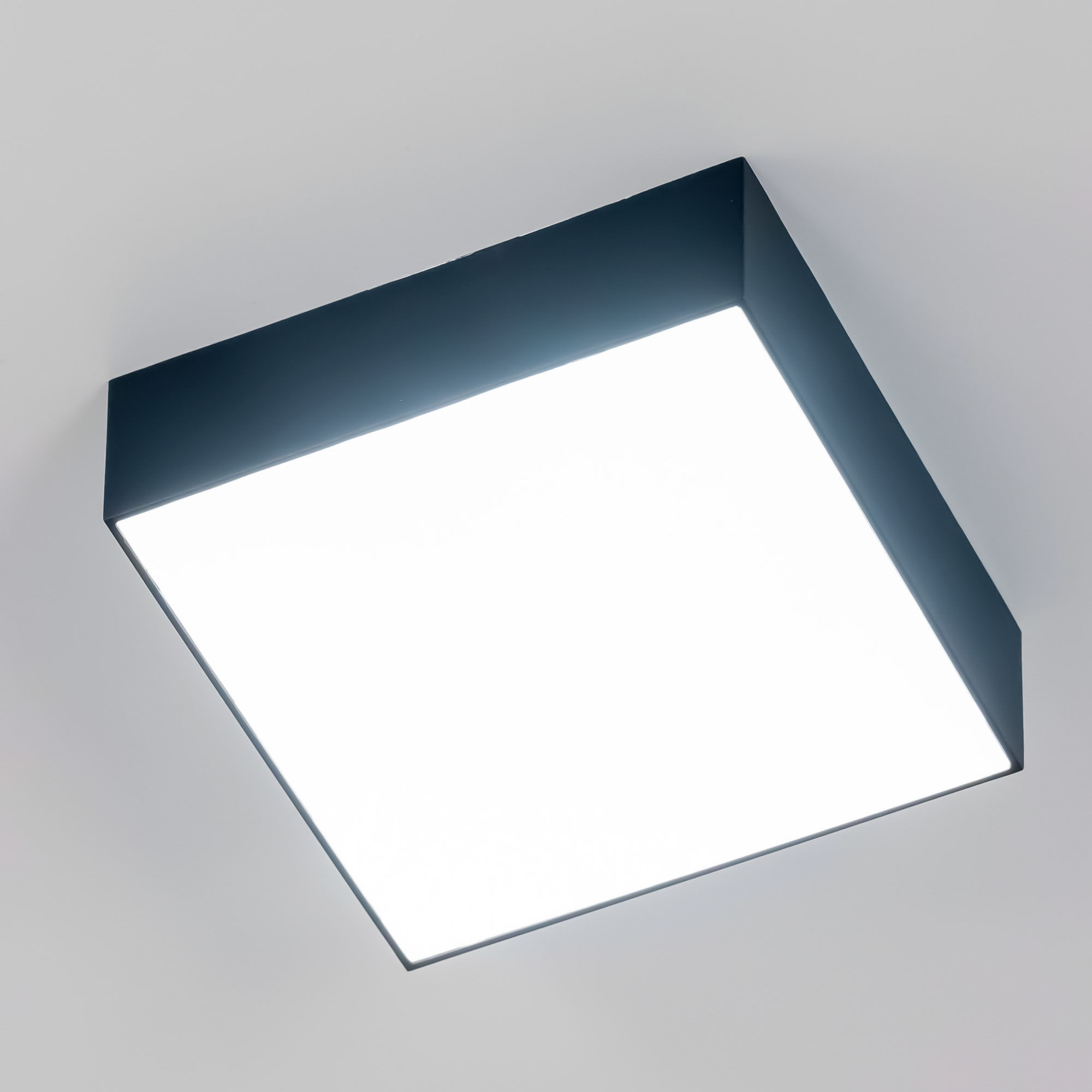 Citilux Тао CL712X122N LED Светильник потолочный с диммером Чёрный арт. 88031