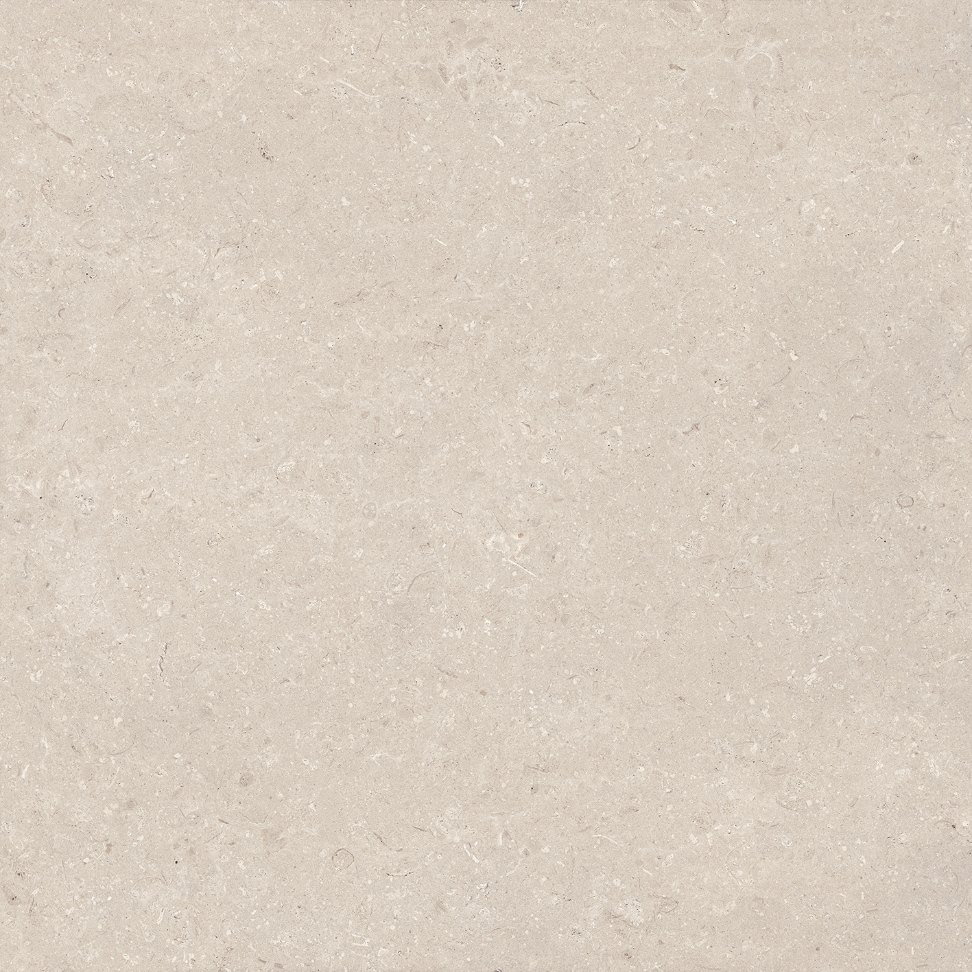 CORAL CALIZA L 120X120(A)
