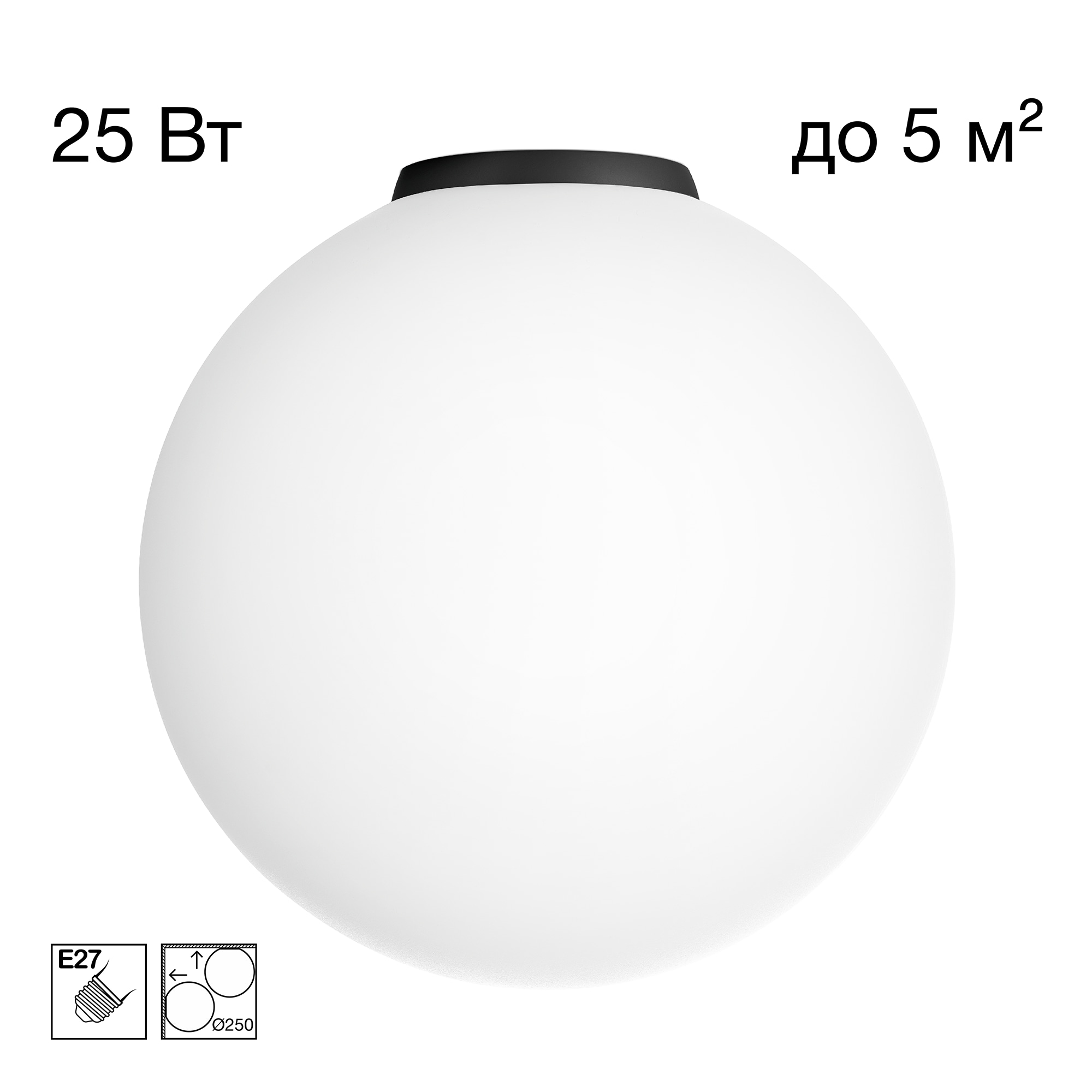 Citilux RON CL941D25B5 Потолочный светильник Чёрный арт. 89659