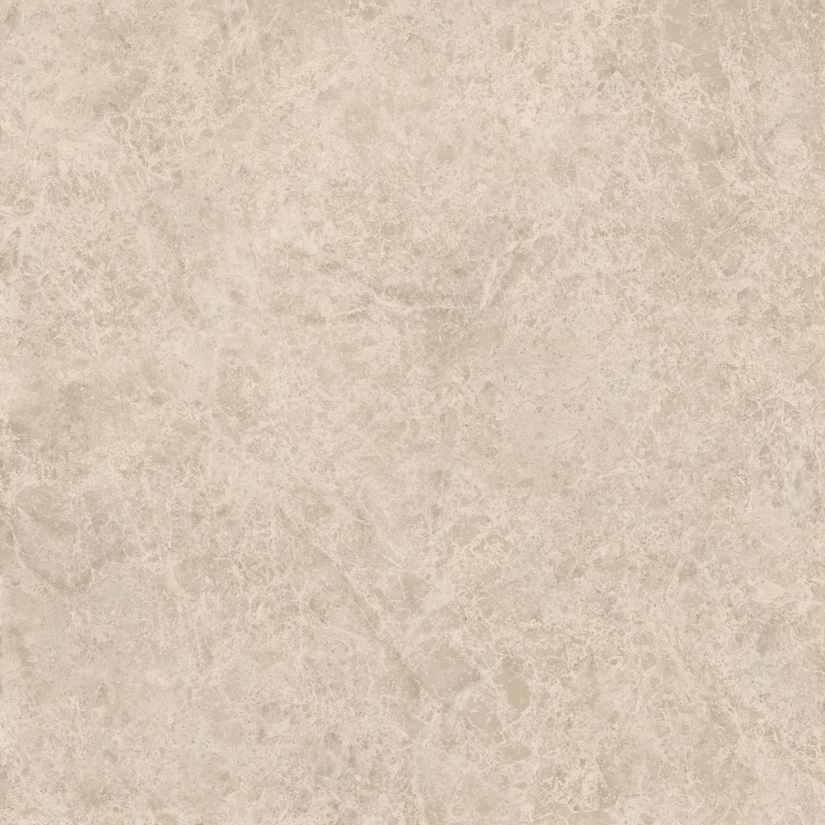 Керамический гранит  ERA DELIC. TAUPE NAT R120X120 арт. 126248