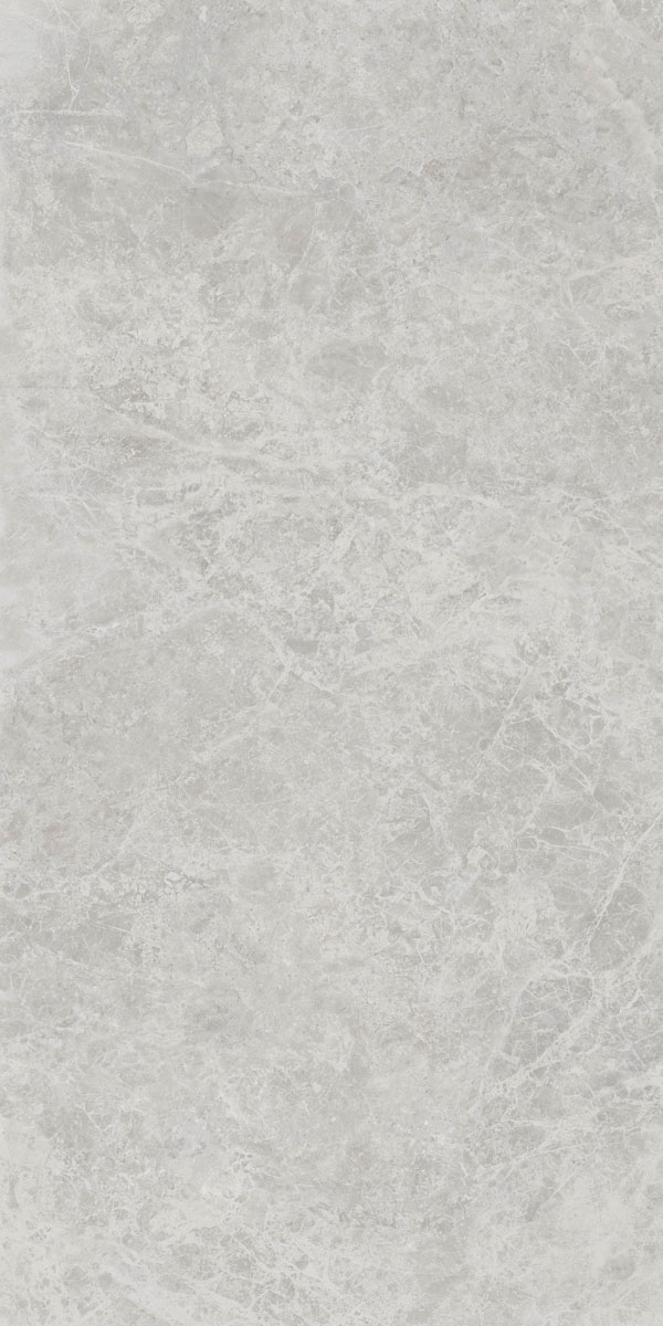Керамогранит ERA DELIC. ASH NAT R60X120 арт. 126201