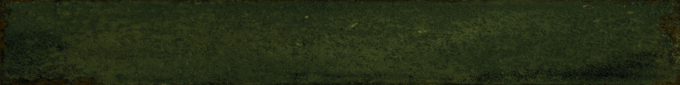 Плитка Monopole Сердена зеленая 5x40 (1) арт. 76502