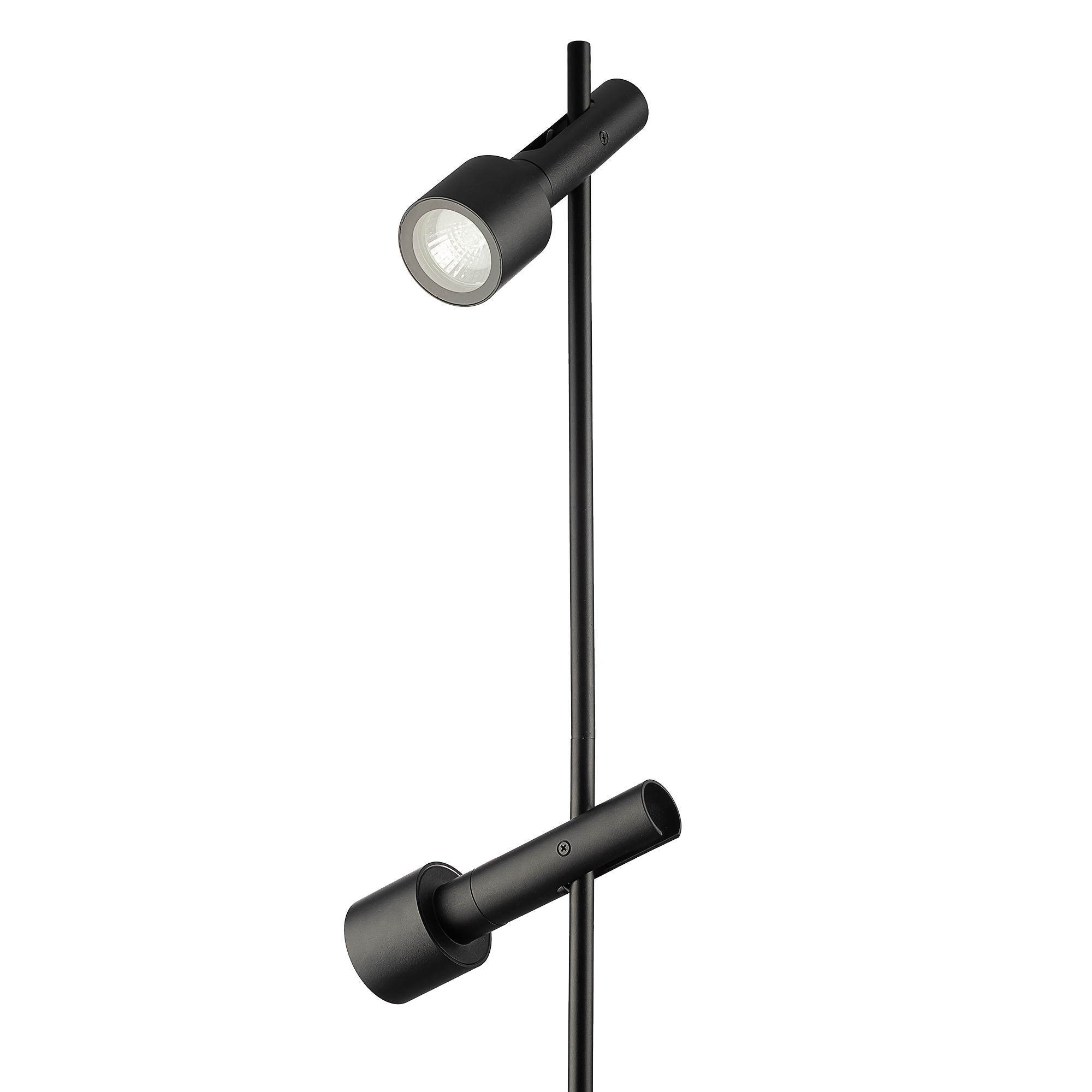 Citilux SPOTTER CLU11B2 Ландшафтный поворотный светильник Чёрный арт. 89814