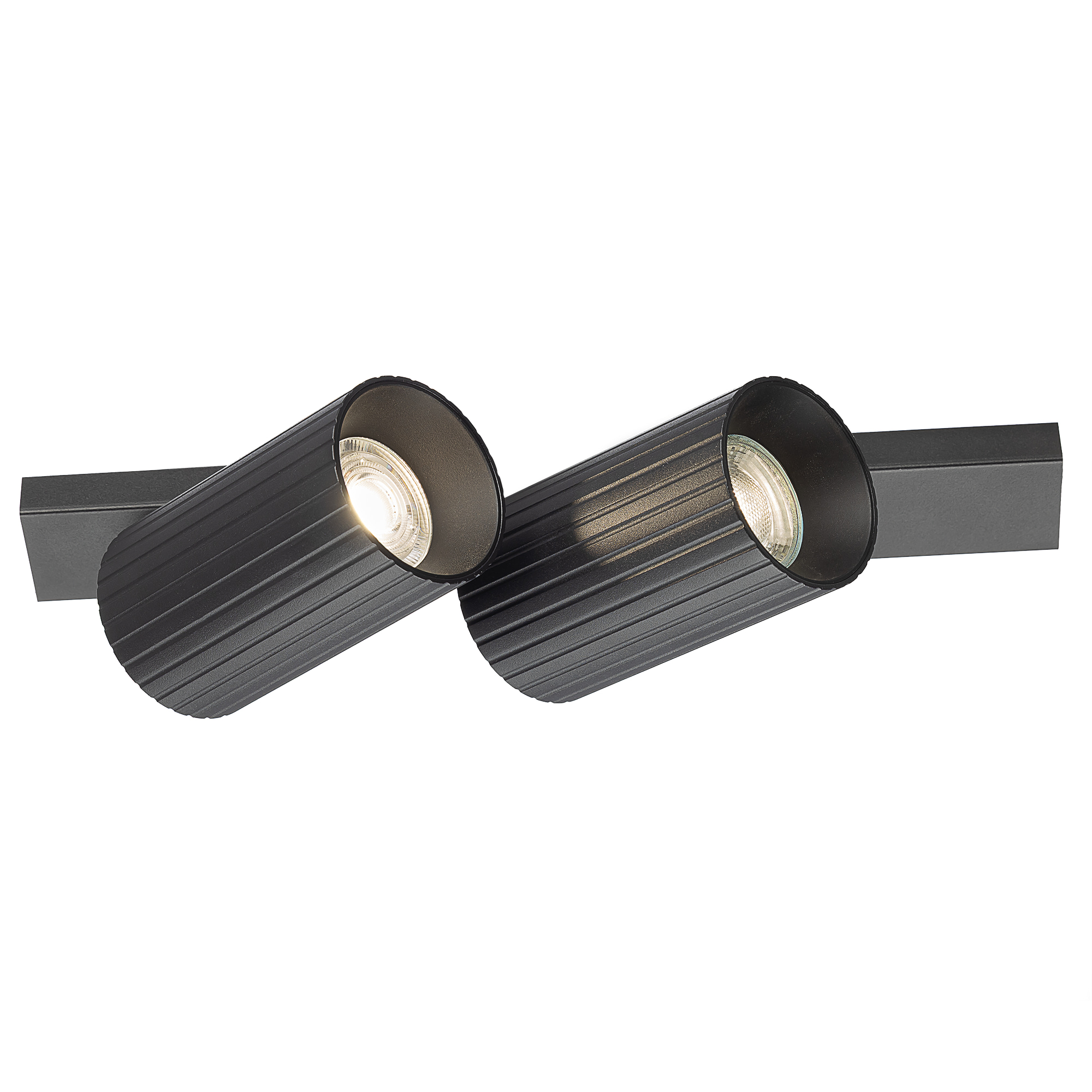 Citilux AXEL CL512521R Спот поворотный двойной Чёрный Рифлёный арт. 129438