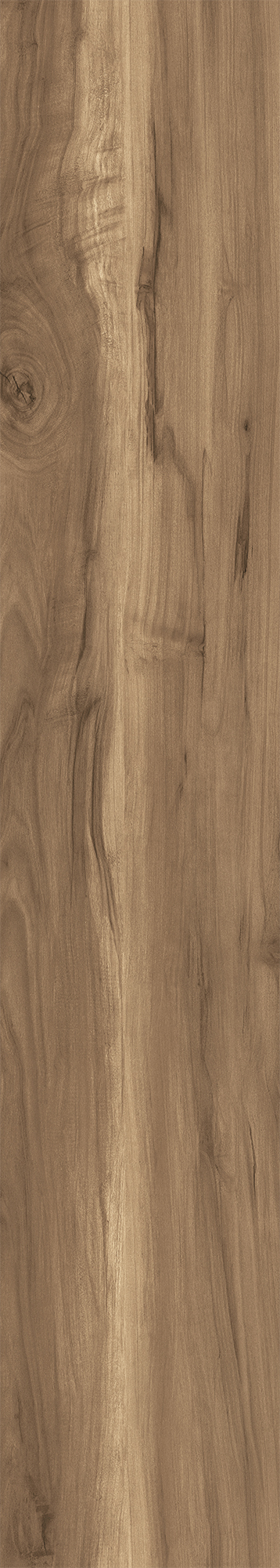FOSSIL WOOD WENGE