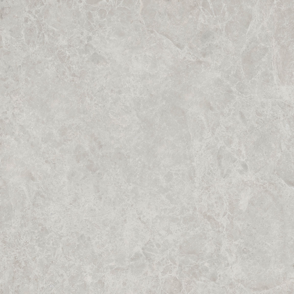 Керамический гранит  ERA DELIC. ASH NAT R120X120 арт. 126263