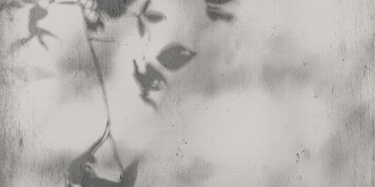 ART WALLS SHADOW NAT R60X120 арт. 85523