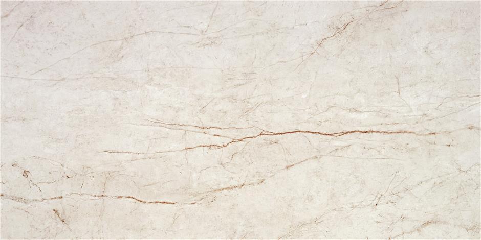 RAIN FOREST WHITE ( PULIDO) 59X119 RECT.
