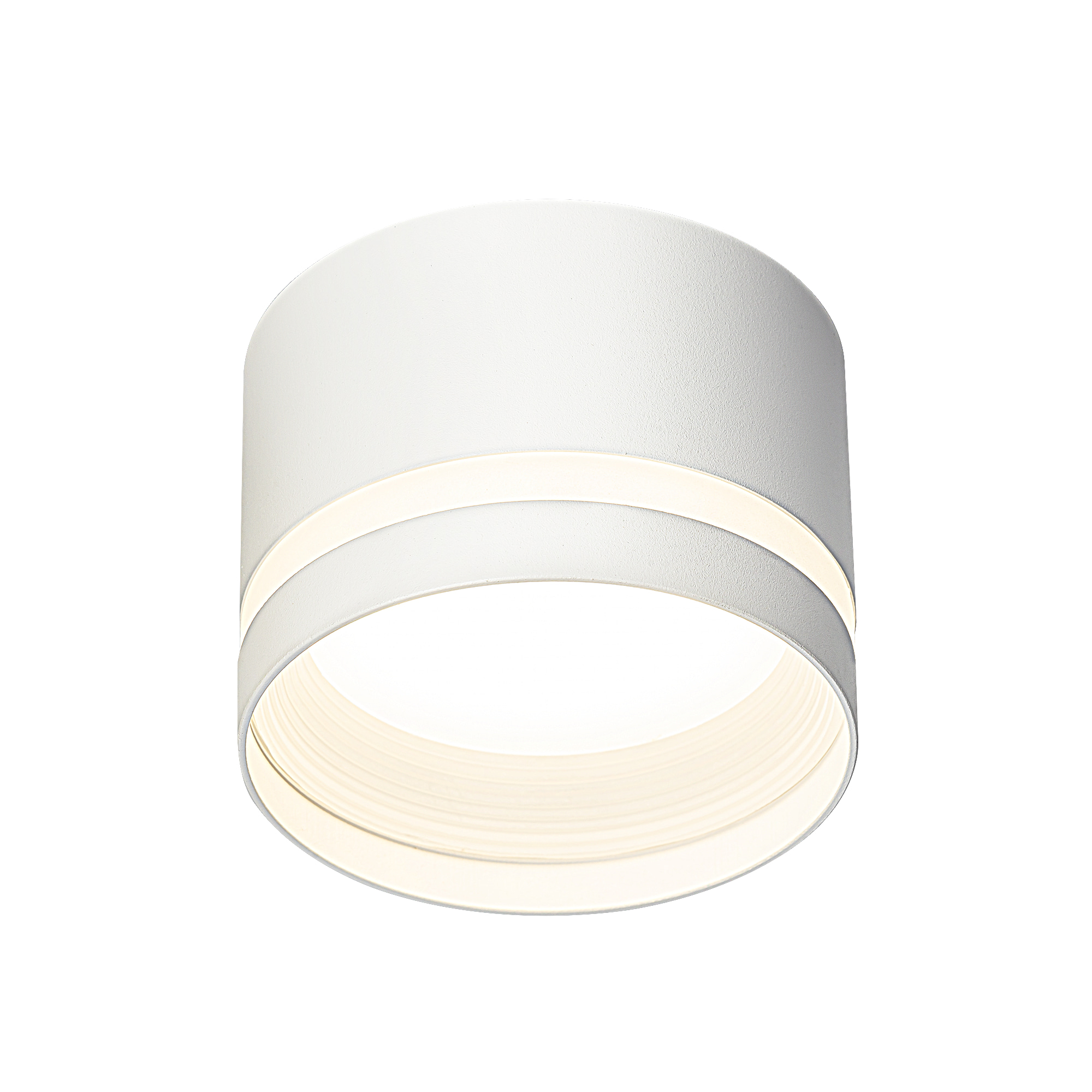 Citilux Hardy CL002C10 Светильник накладной Белый арт. 89322