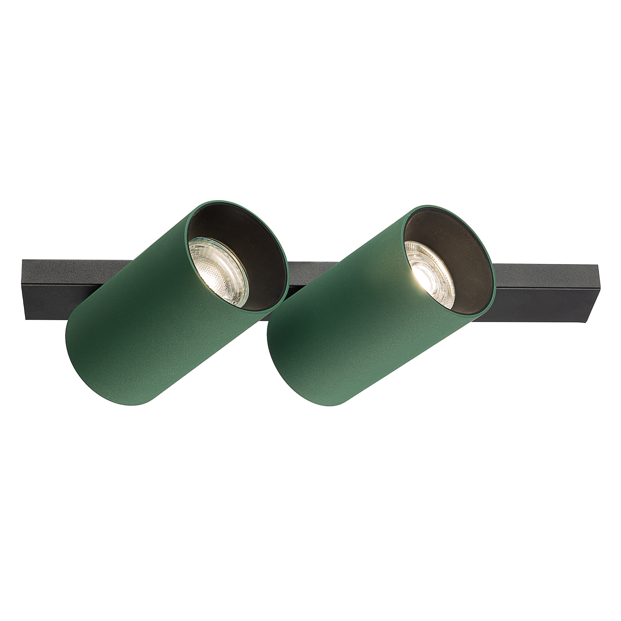 Citilux AXEL CL512525 Спот поворотный двойной Зелёный арт. 129439