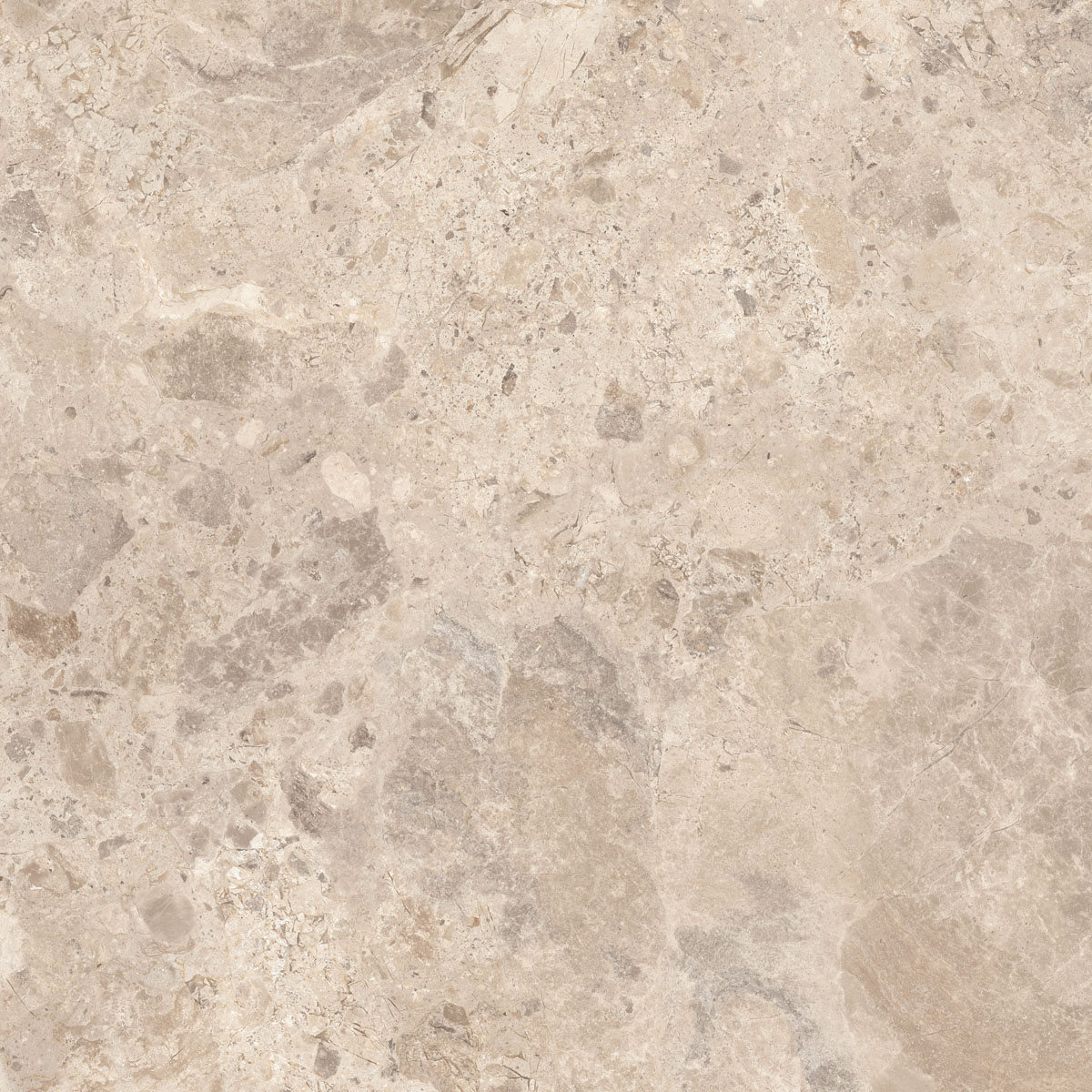 Керамический гранит  ERA BLOOM. TAUPE LAP R120X120 арт. 126261
