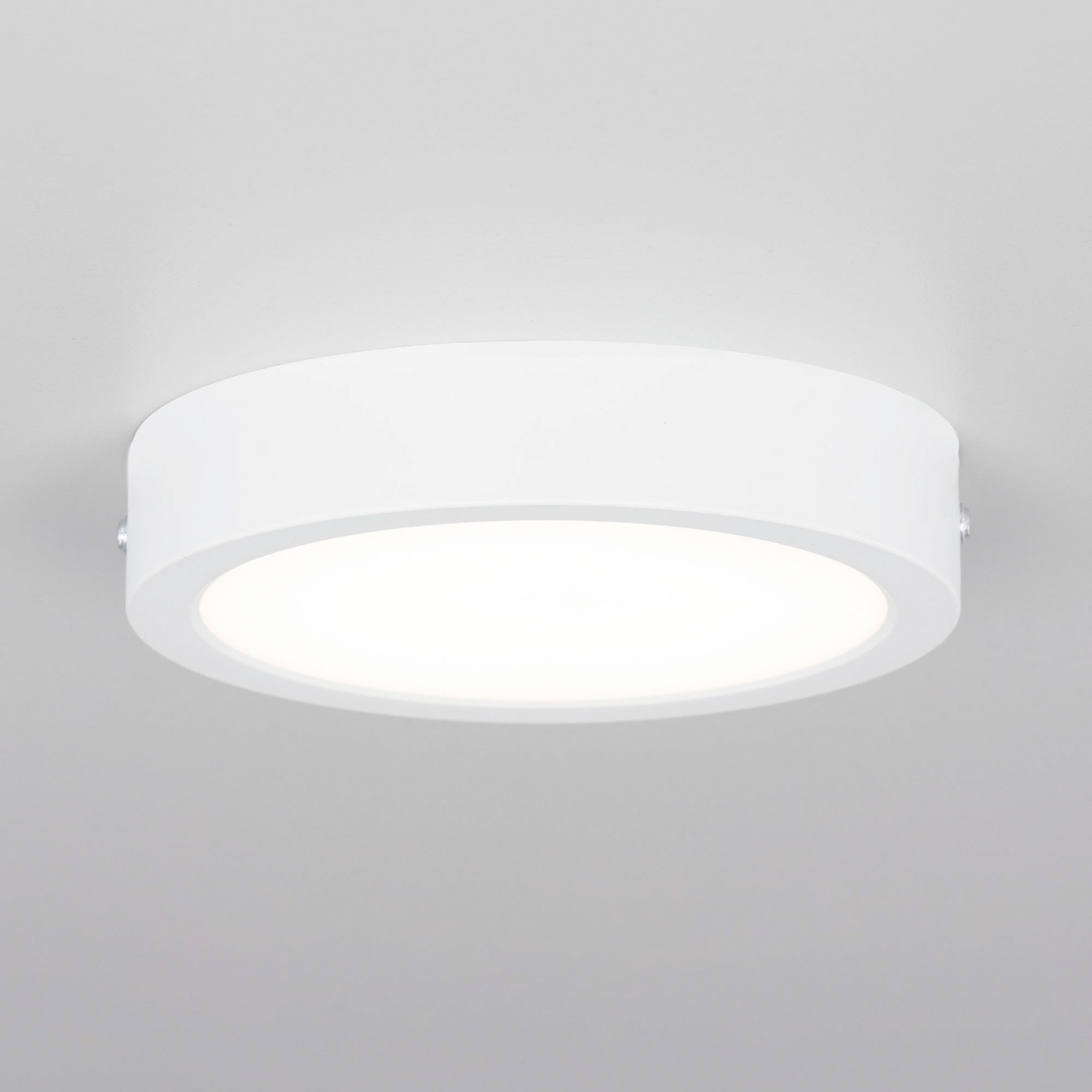 Citilux Галс CL5516N Светильник накладной светодиодный арт. 88921