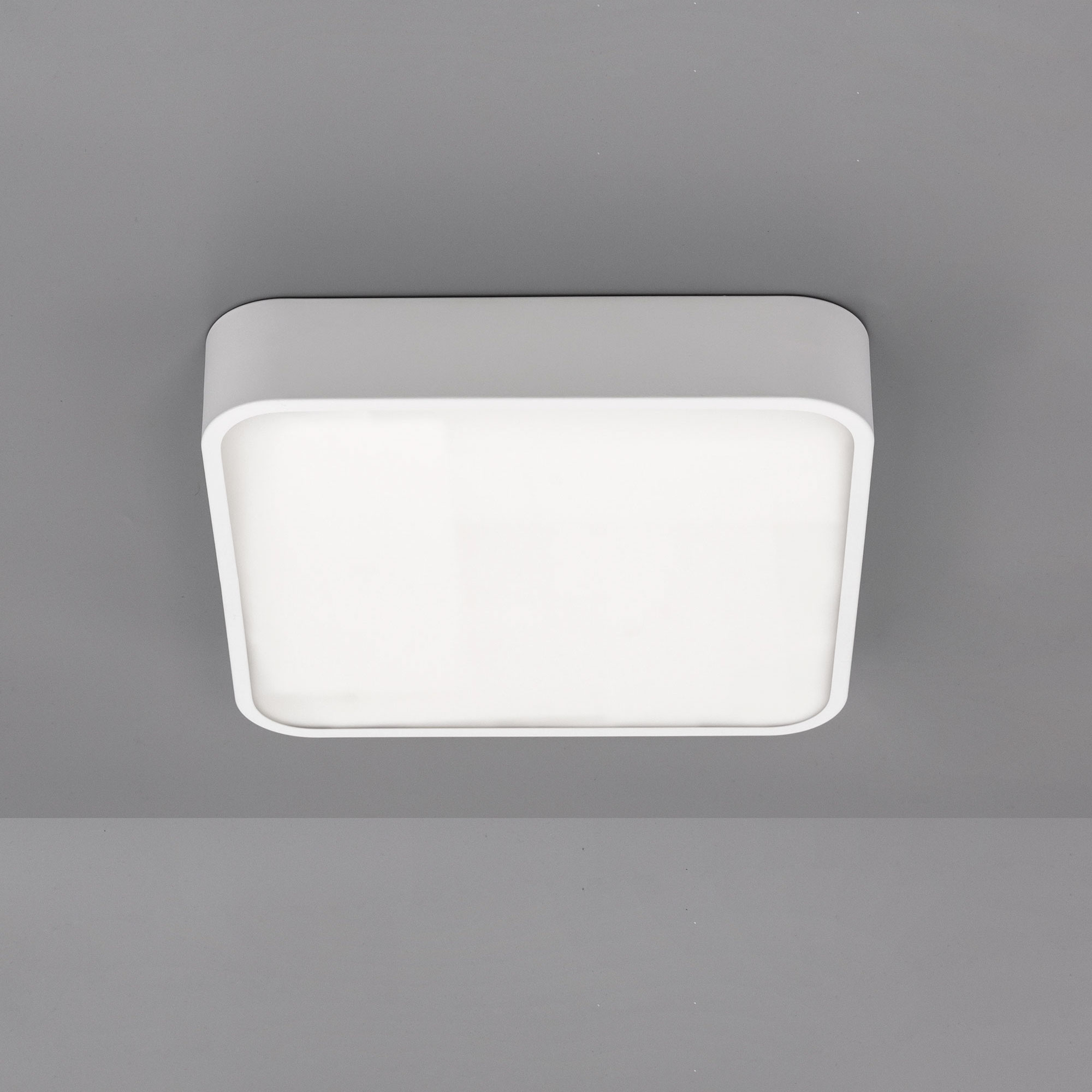 Citilux Купер CL724K24V0 LED Светильник потолочный Белый арт. 88843