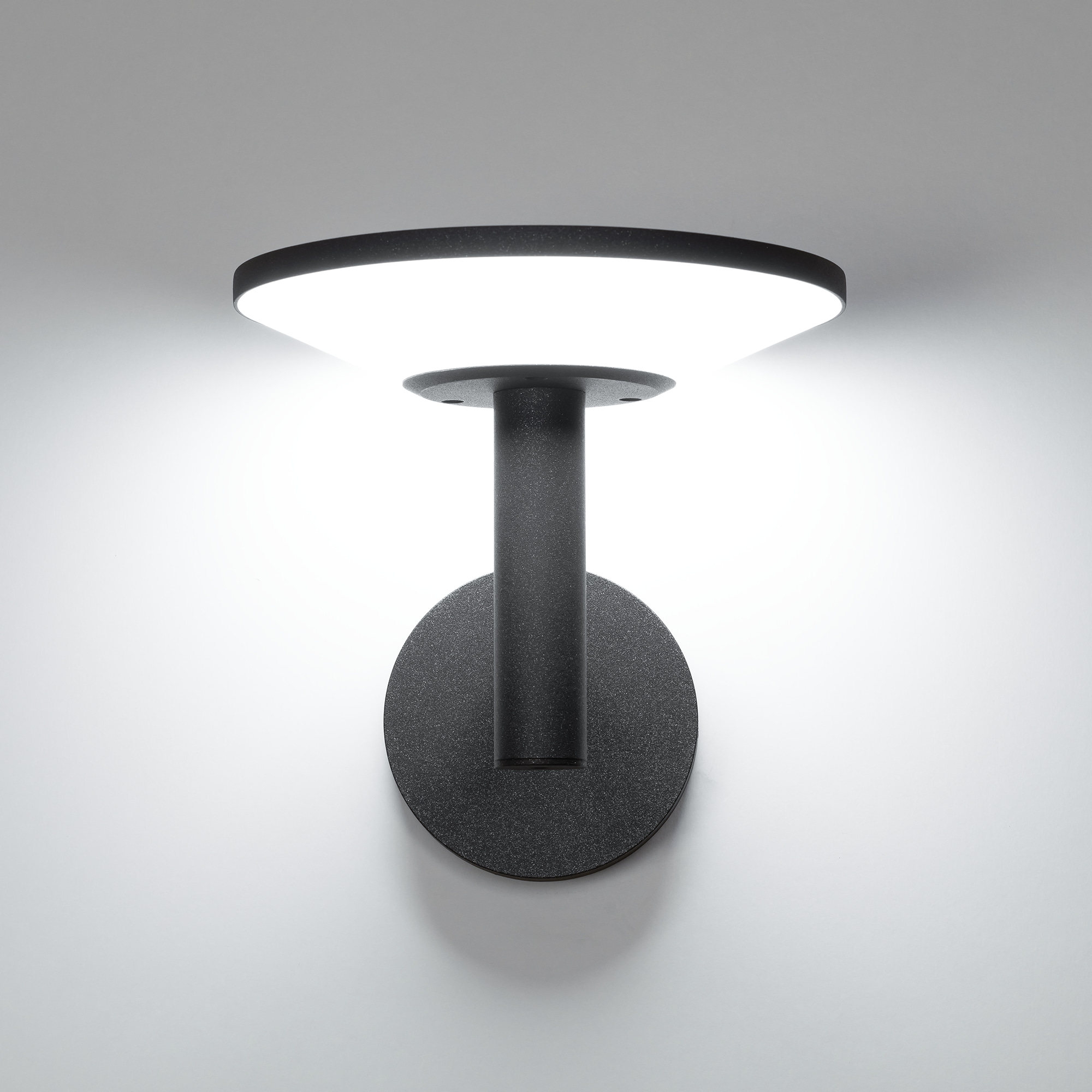 Citilux Dorn CLU05W LED Уличный настенный светильник Графит арт. 89160