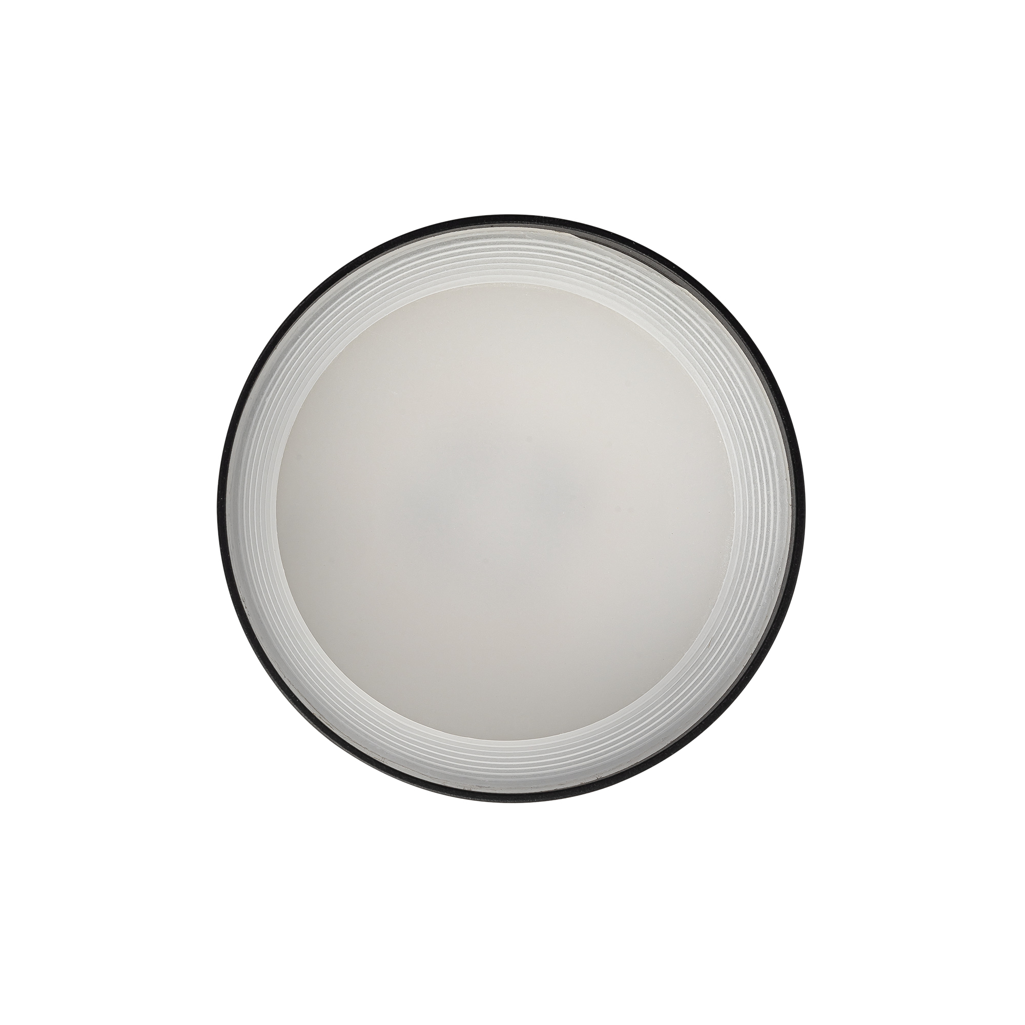 Citilux Hardy CL002C11 Светильник накладной Чёрный арт. 89323