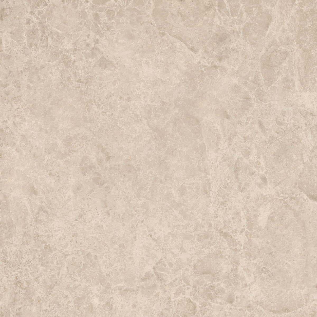Керамический гранит  ERA DELIC. TAUPE NAT R120X120 арт. 126248