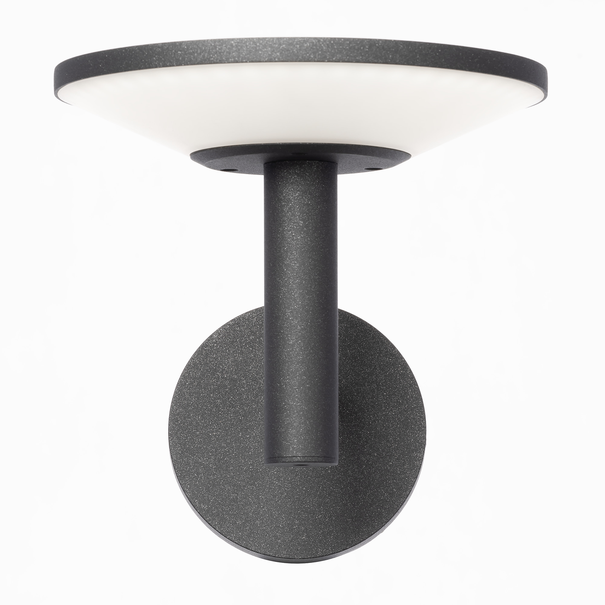Citilux Dorn CLU05W LED Уличный настенный светильник Графит арт. 89160