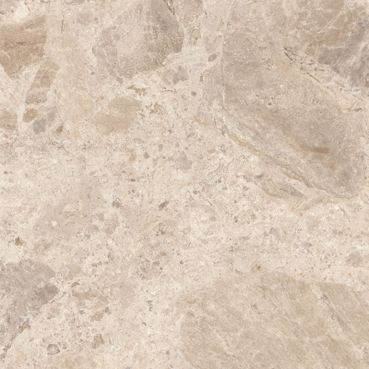Керамический гранит  ERA BLOOM. TAUPE LAP R120X120 арт. 126261