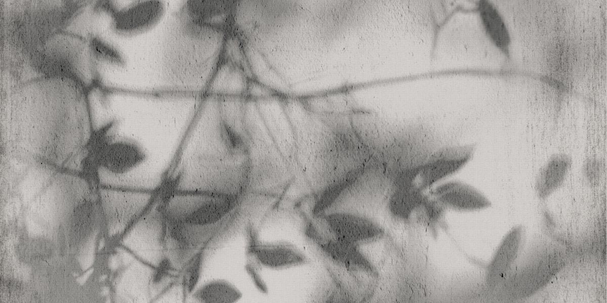 ART WALLS SHADOW NAT R60X120 арт. 85523