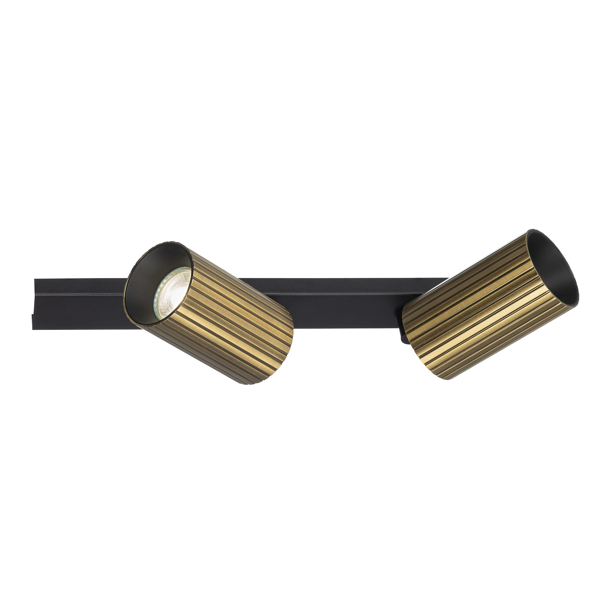 Citilux AXEL CL512523R Спот поворотный двойной Бронза Рифлёный арт. 89829
