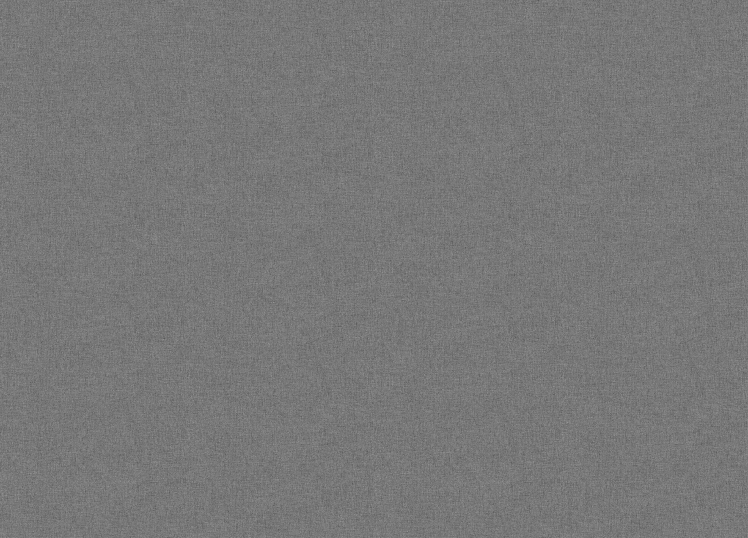 A101314 Обои ARTSIMPLE (1*6) 10,00x1,06 винил на флизелине