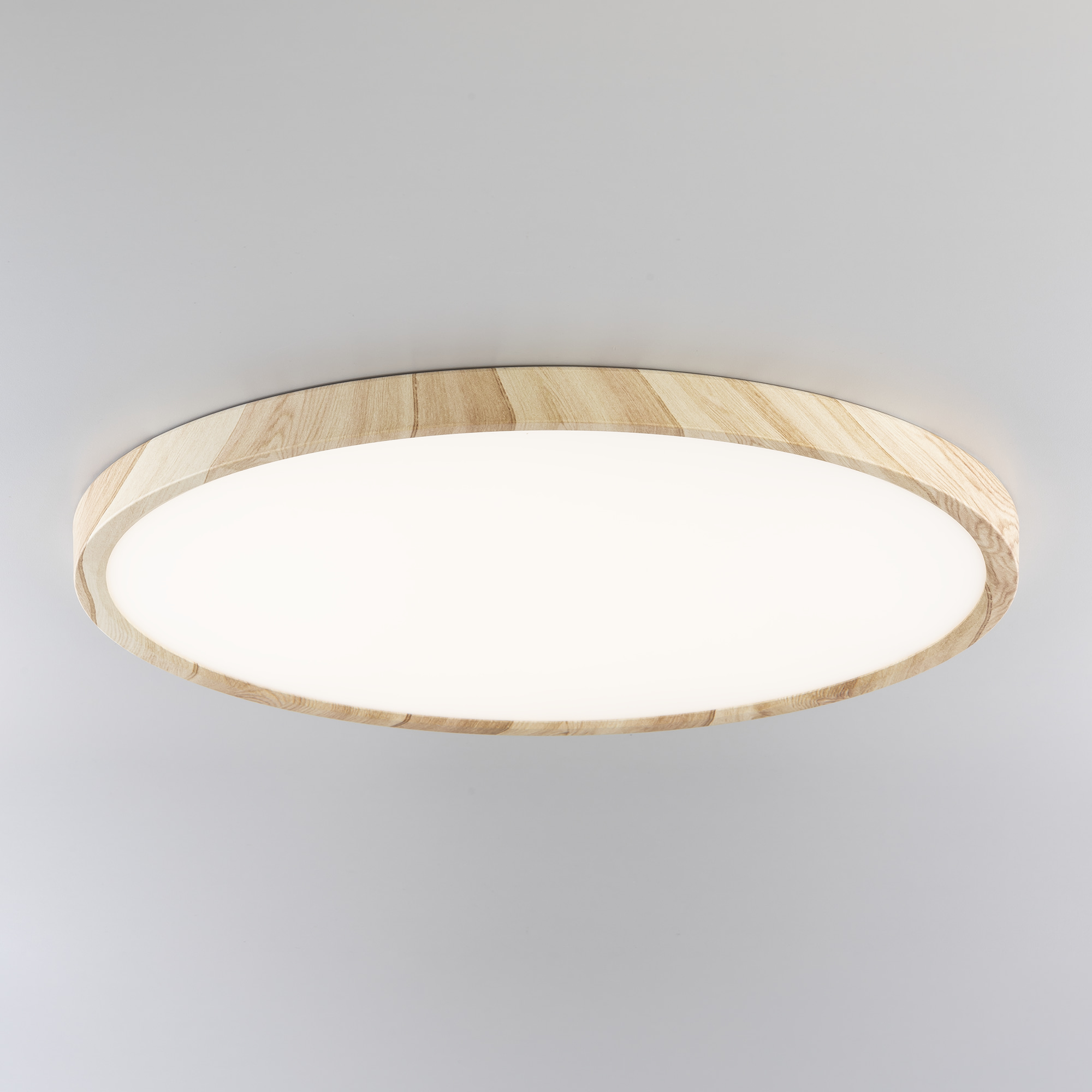 Citilux БейсикCL738322V LED Светильник накладной Клён арт. 89195