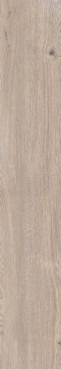 Керамогранит 4 SEASONS  INDUS.BISC.   NAT R20X120
