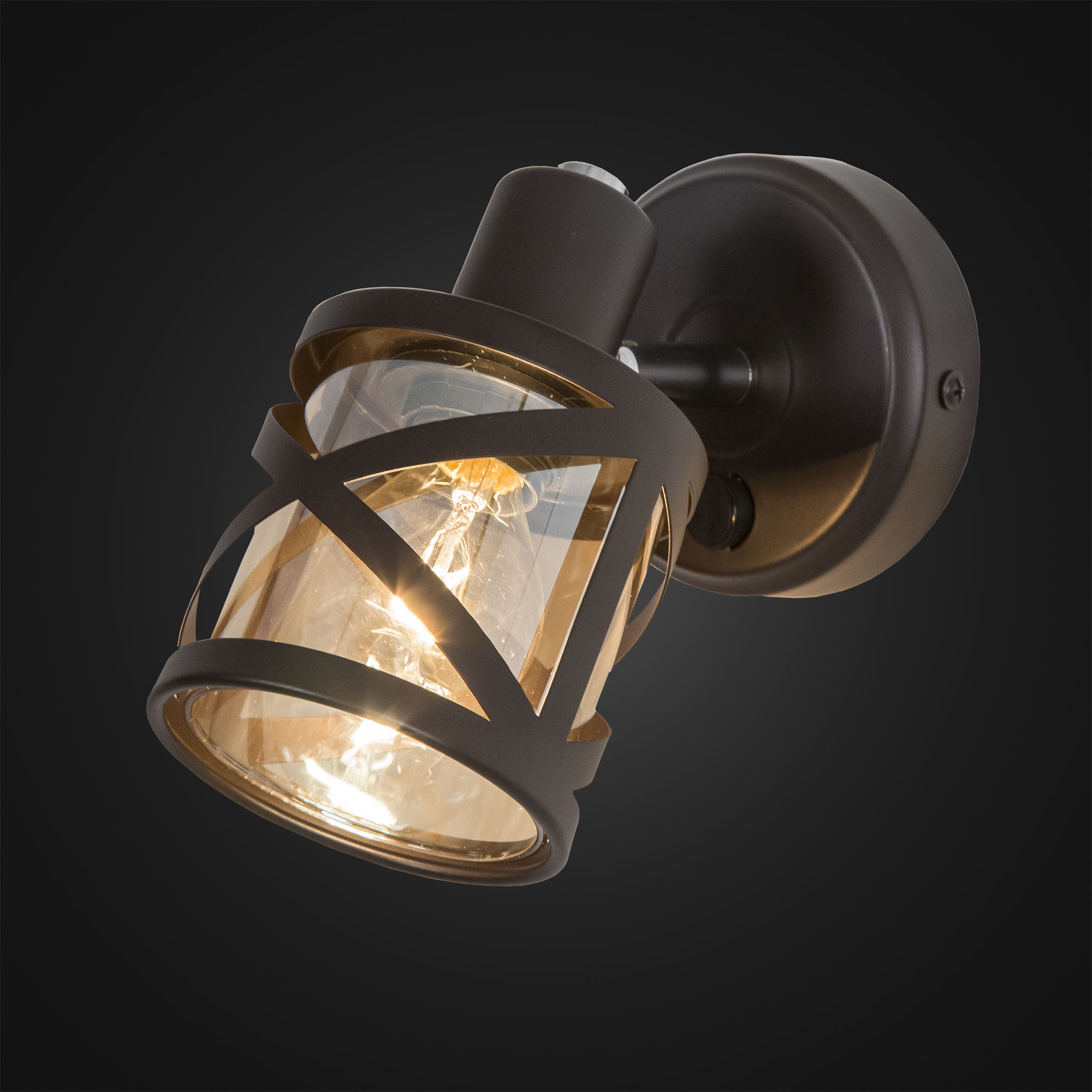 Citilux Гессен CL536615 Спот поворотный с выключателем Венге арт. 88482