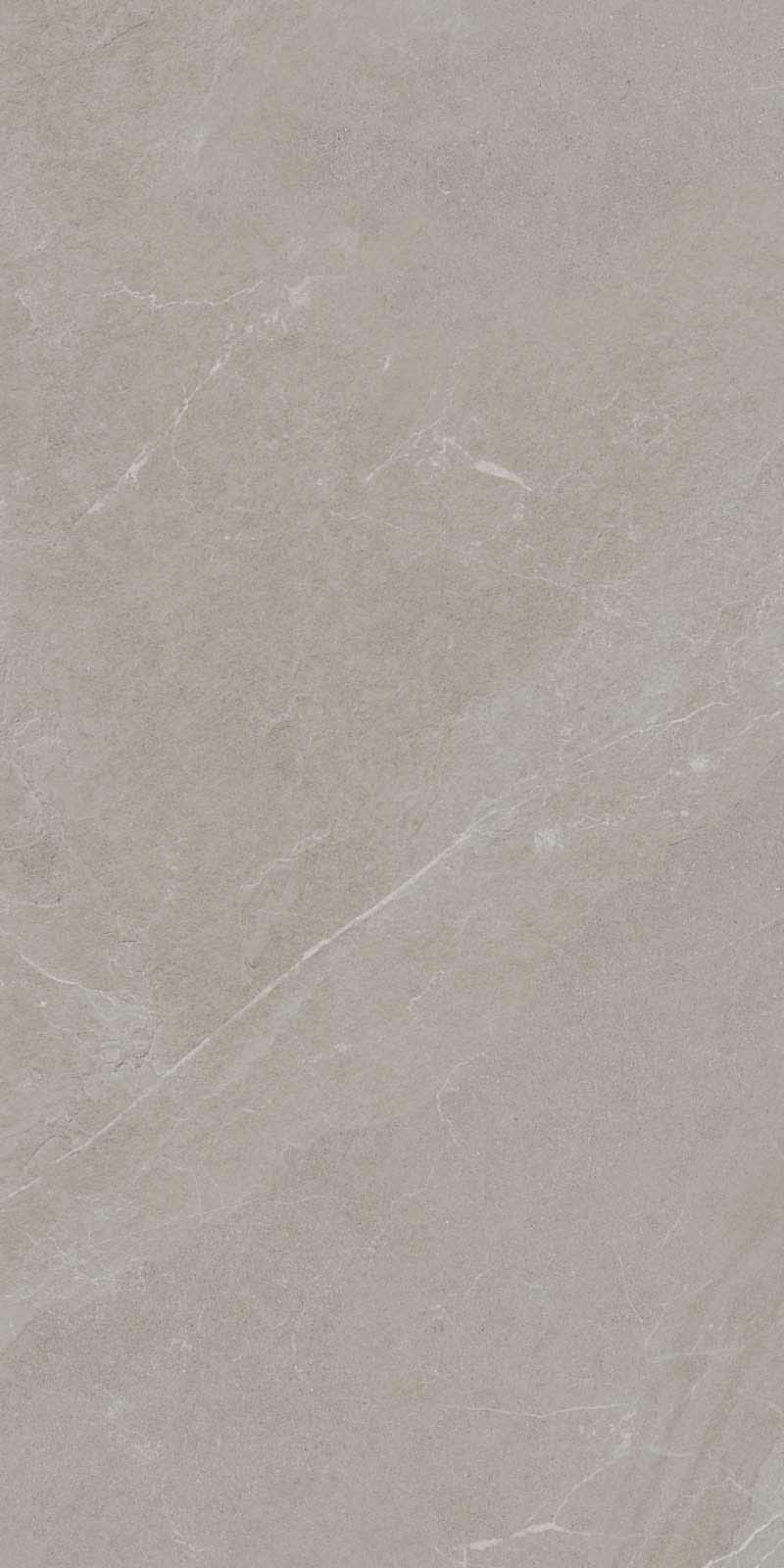 ANGERS AV TAUPE RET 60x120