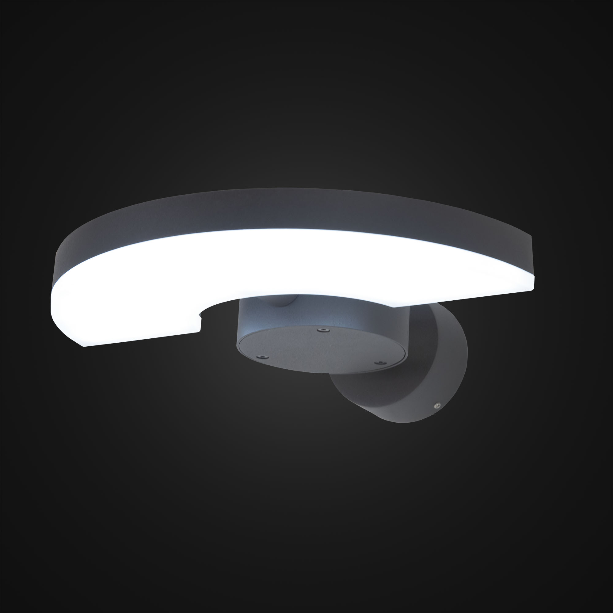 Citilux GARDA CLU03W LED Уличный настенный поворотный светильник Графит арт. 88047