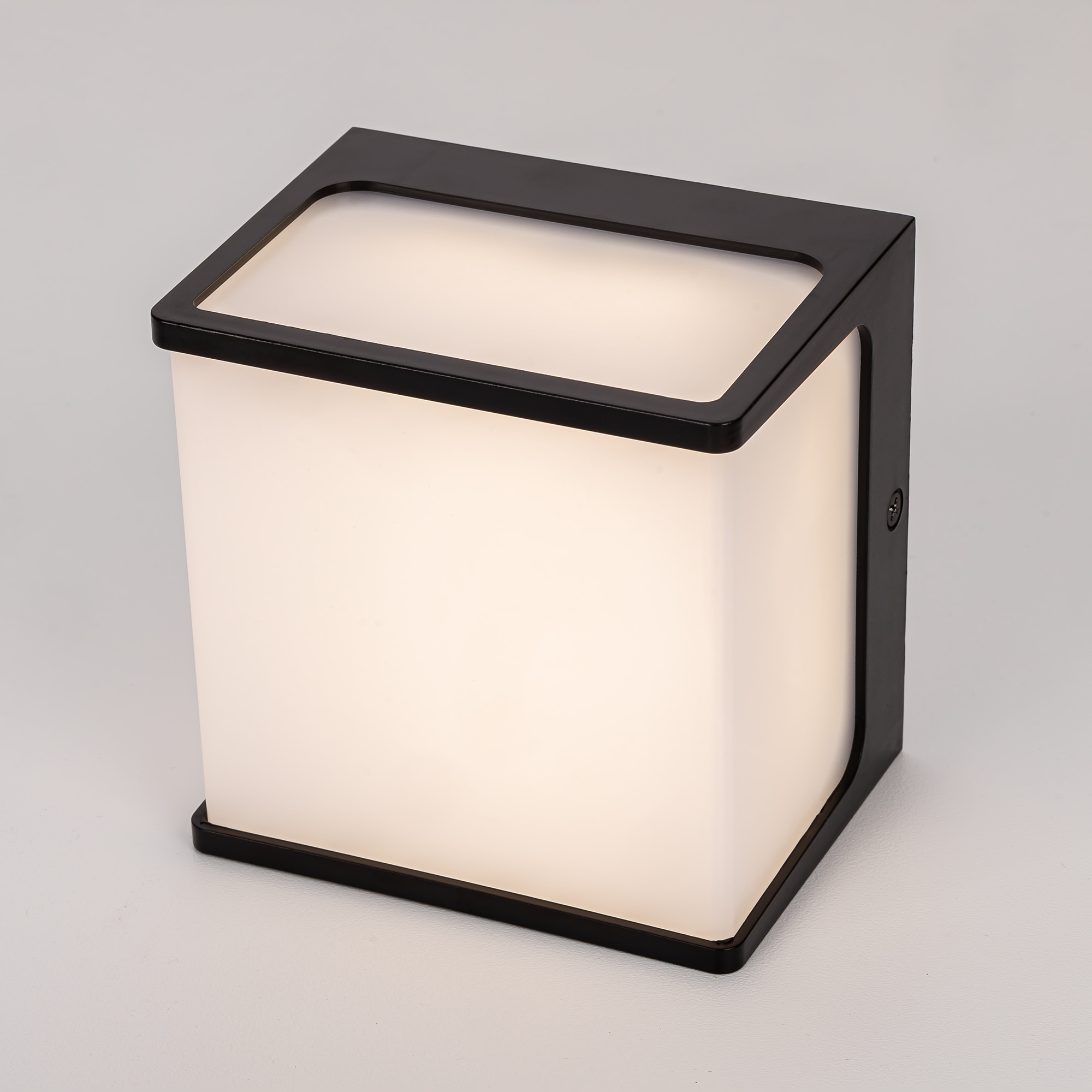 Citilux DOMUS CLU0801 LED Уличный настенный светильник Чёрный арт. 89362