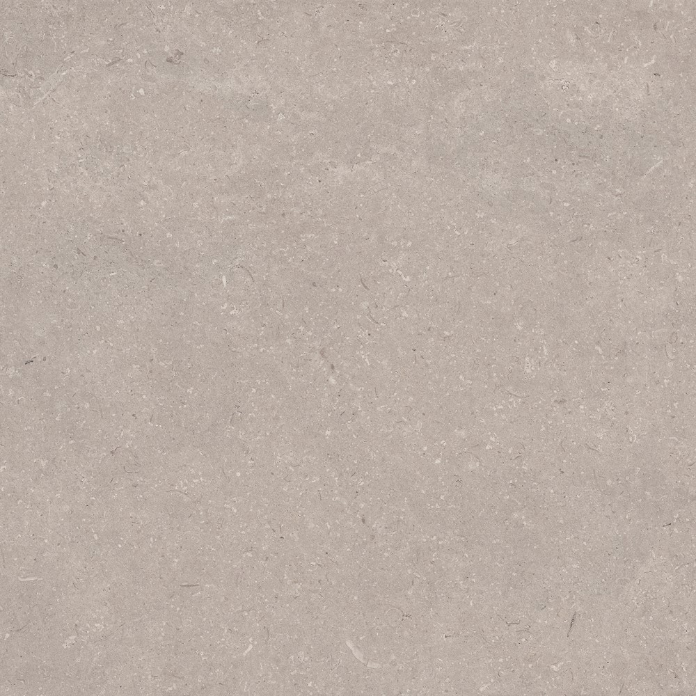 PORCELANOSA CORAL TOPO L 120х120 G-392