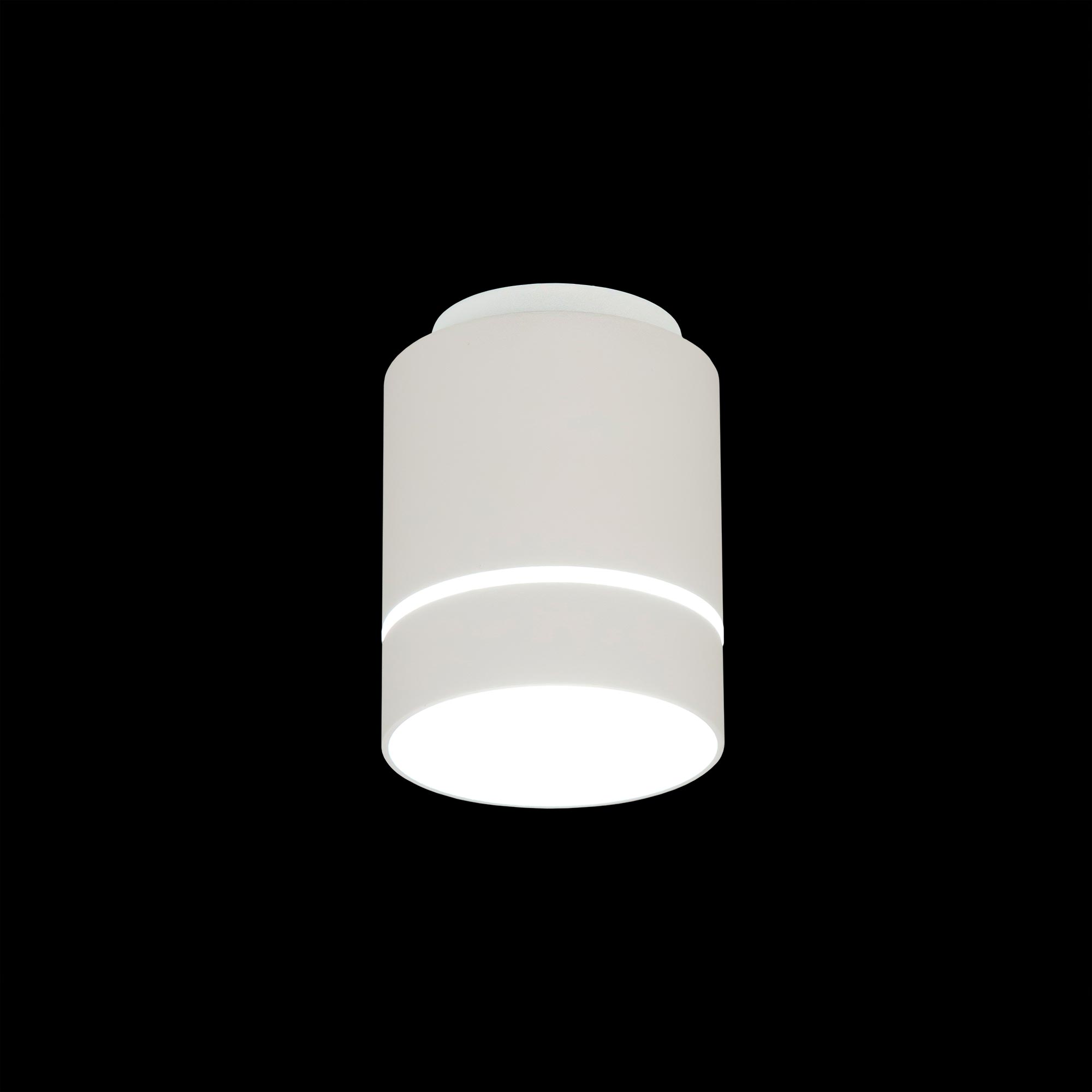 Citilux Борн CL745010N LED Светильник накладной Белый арт. 88669