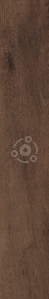 Плитка Antique Walnut Fondi Nat.rettificat (gl) 20х120 см арт. 129273