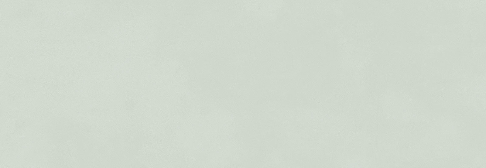 BRIO SALVIA RET 33,3x100 7мм