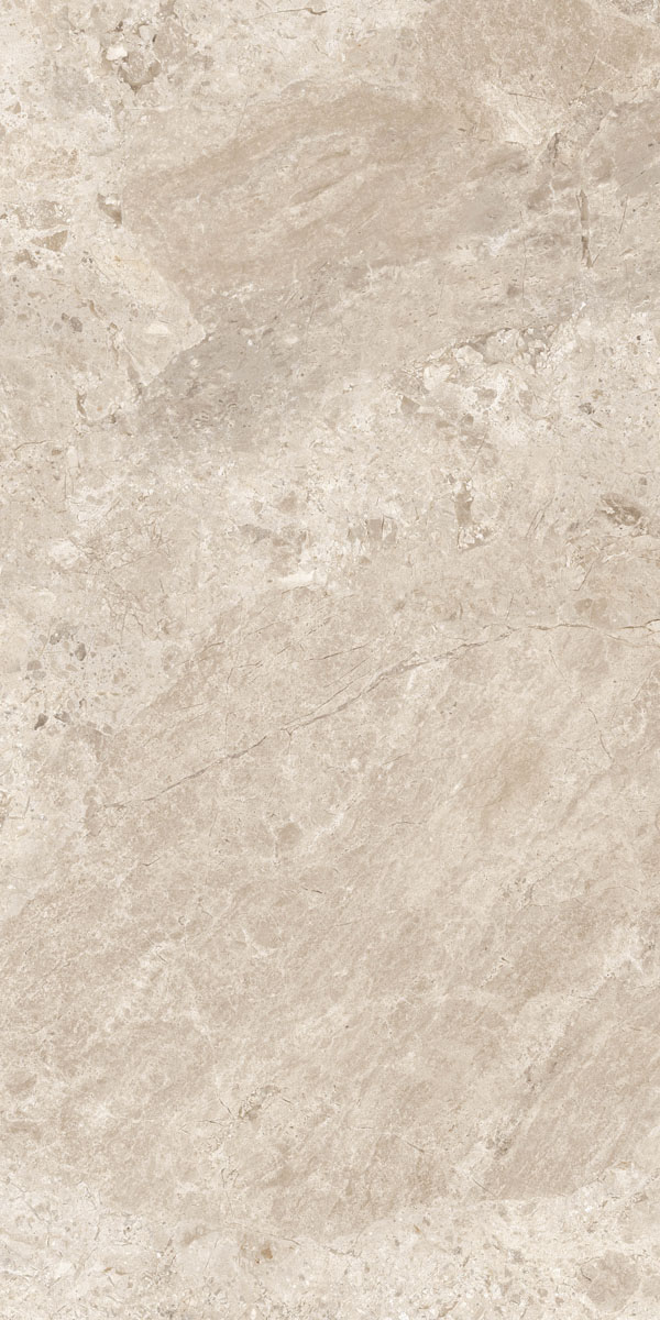 Керамогранит ERA BLOOM. BEIGE NAT R60X120 арт. 126198