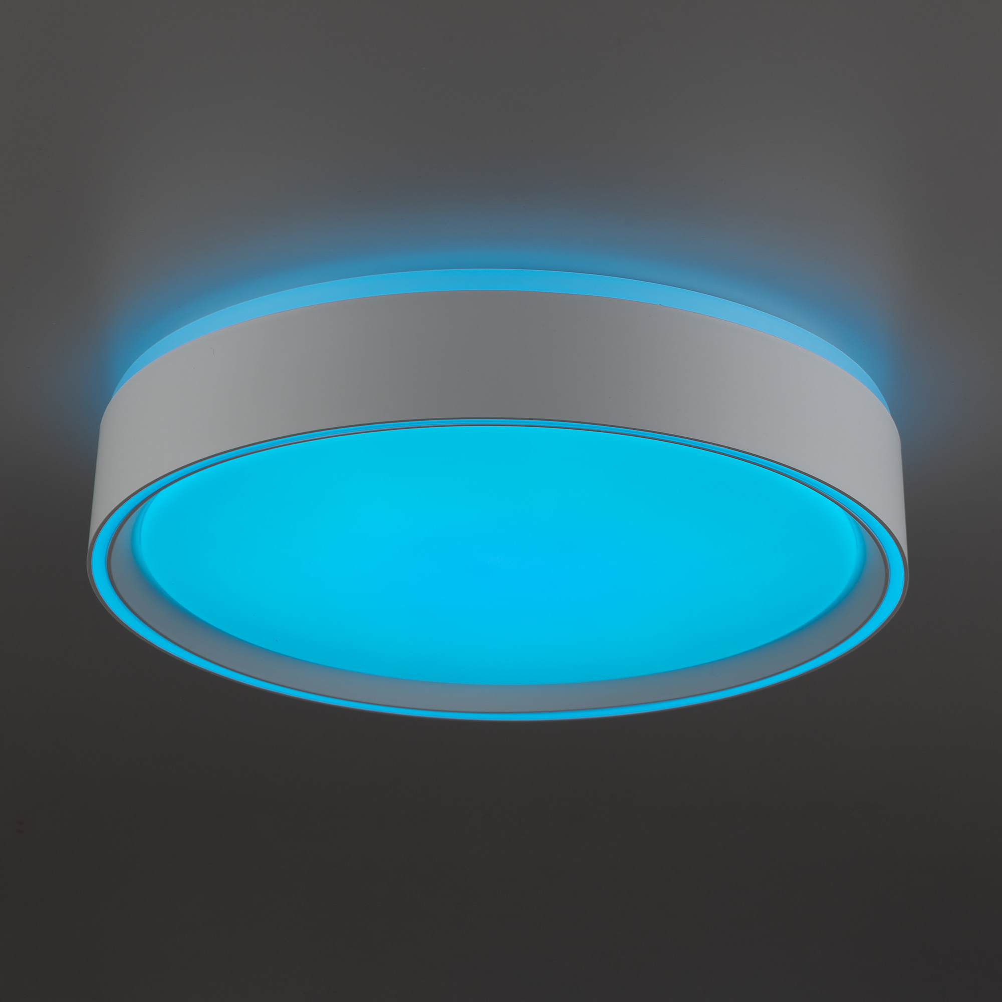 Citilux BOSS CL751250G LED RGB Светильник с пультом Белый арт. 89220